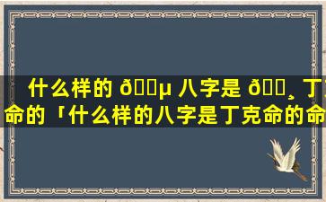 什么样的 🐵 八字是 🌸 丁克命的「什么样的八字是丁克命的命格」